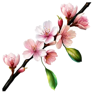 Cherry Blossom Artwork Png 05032024 PNG image