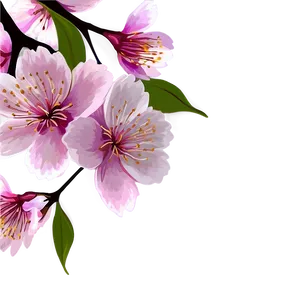 Cherry Blossom Border Png Get83 PNG image