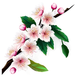 Cherry Blossom Border PNG Qde PNG