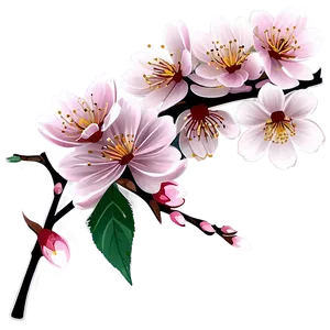 Cherry Blossom Branch Design PNG 16