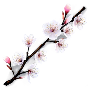 Cherry Blossom Branch Design PNG Cjr