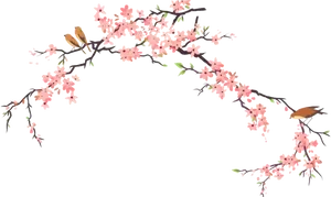 Cherry Blossom Branch Illustration PNG image