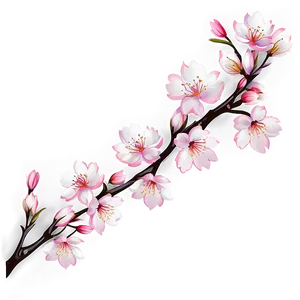 Cherry Blossom Branch PNG 06292024 PNG