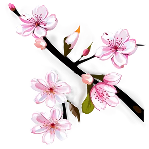 Cherry Blossom Branch PNG 22 PNG