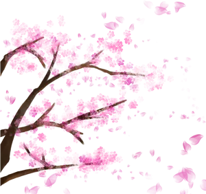 Cherry Blossom Branches Artistic Representation PNG image