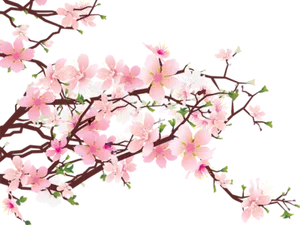 Cherry Blossom Branches Artistic Representation