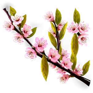 Cherry Blossom Branches Png Ash PNG image