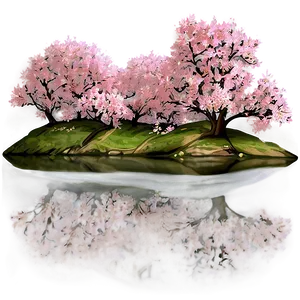 Cherry Blossom By River Photo PNG Pjs