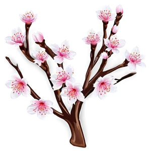 Cherry Blossom D PNG image