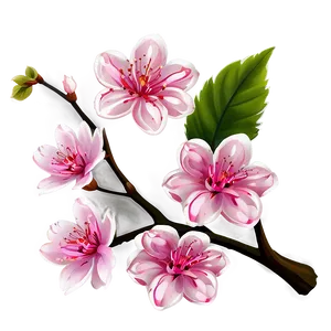 Cherry Blossom Decal PNG Ive PNG
