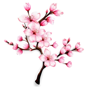 Cherry Blossom Decoration PNG 10 PNG