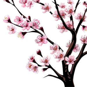 Cherry Blossom Drawing PNG 28