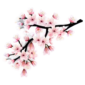 Cherry Blossom Festival Graphics PNG 05032024