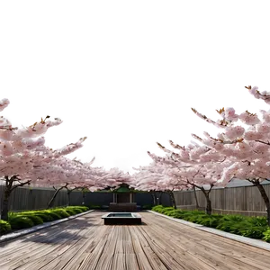 Cherry Blossom Garden Panorama PNG Asf91