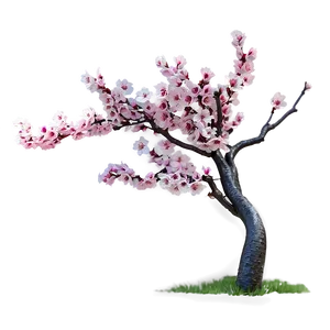 Cherry Blossom Garden PNG 17