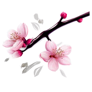 Cherry Blossom Illustration PNG Bvk92