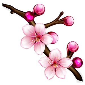 Cherry Blossom Illustration PNG Ixr PNG