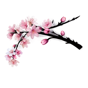Cherry Blossom Invitation PNG Sny PNG
