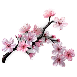 Cherry Blossom Night PNG 06292024 PNG