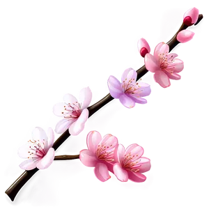 Cherry Blossom Night PNG Ije97 PNG