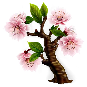 Cherry Blossom Night View PNG Jtd94