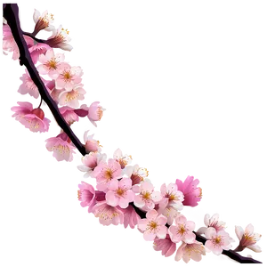 Cherry Blossom Night View PNG Ofi