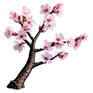 Cherry Blossom On Mountain Top PNG 10