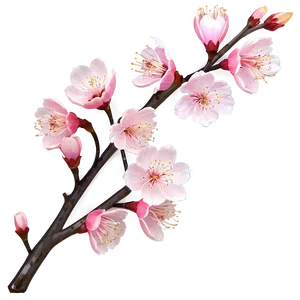 Cherry Blossom On Mountain Top Png 98 PNG image