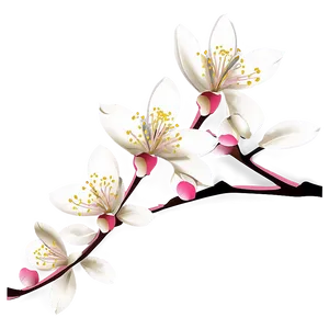 Cherry Blossom Outline PNG 96 PNG