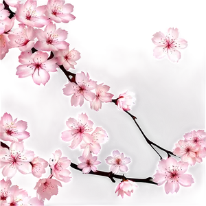 Cherry Blossom Petals Overlay PNG Gav
