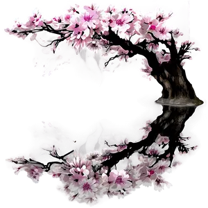 Cherry Blossom Reflection Png Cku PNG image