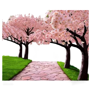 Cherry Blossom Road Pathway Png 62 PNG image