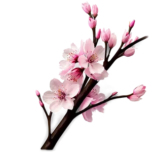 Cherry Blossom Theme PNG 90 PNG