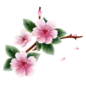 Cherry Blossom Theme PNG Yna60 PNG