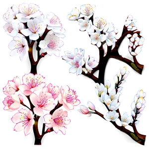 Cherry Blossom Timelapse Sequence Png 99 PNG image