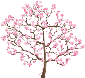 Cherry Blossom Tree Illustration PNG image