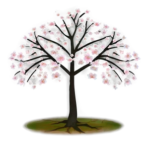 Cherry Blossom Tree Outline PNG Mta PNG