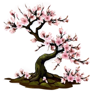 Cherry Blossom Tree PNG 71