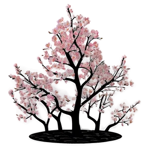 Cherry Blossom Tree Sunset PNG 20 PNG