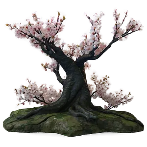 Cherry Blossom Twilight PNG 72 PNG