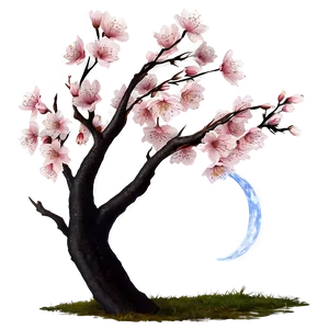 Cherry Blossom Under Moonlight PNG 99