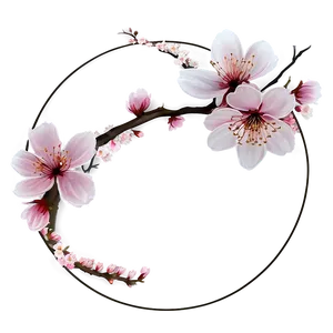Cherry Blossom Under Moonlight PNG Xvm