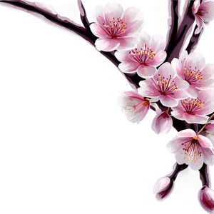 Cherry Blossom Wallpaper PNG 06292024 PNG