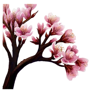 Cherry Blossom Watercolor Painting PNG 05032024