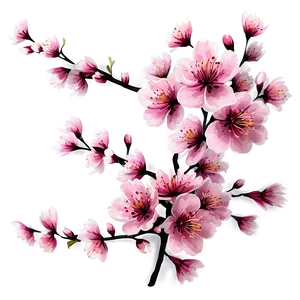 Cherry Blossom With Blue Sky PNG Qex PNG
