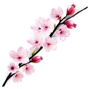 Cherry Blossom Zen Garden Png 5 PNG image