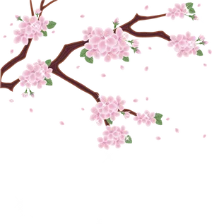 Cherry Blossoms Artistic Representation PNG image