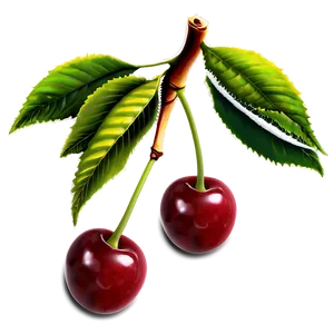 Cherry Bunch Png 06212024 PNG image