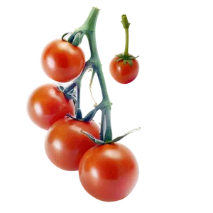 Cherry Tomato Png 83 PNG image