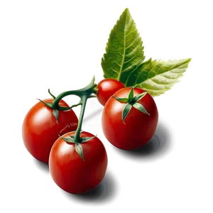 Cherry Tomato Png Eny PNG image